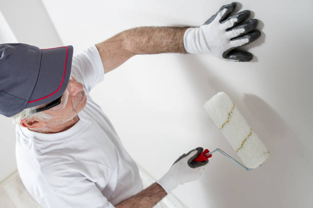 Best Post-Construction Mold Inspection  in Eureka Springs, AR
