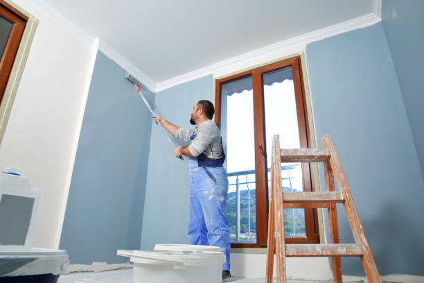 Best Black Mold Removal  in Eureka Springs, AR