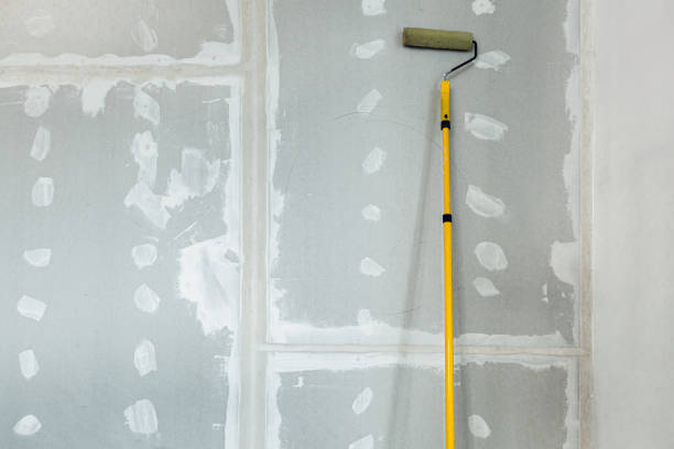 Best Crawl Space Mold Remediation  in Eureka Springs, AR