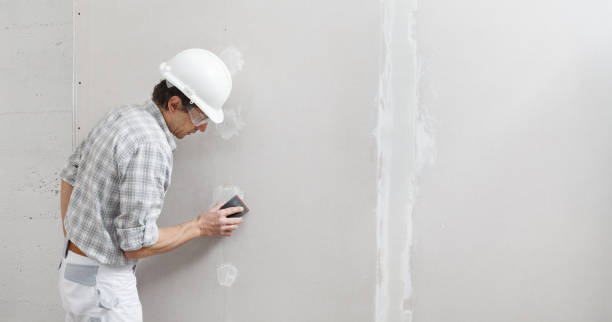 Best Emergency Mold Remediation  in Eureka Springs, AR