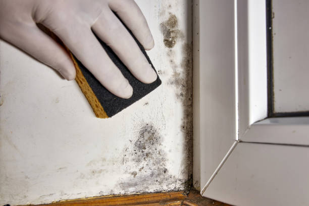 Asbestos and Lead Testing During Mold Inspection in Eureka Springs, AR