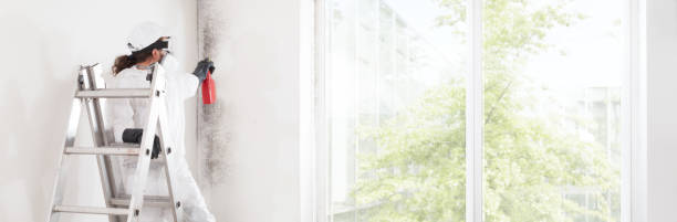 Best Residential Mold Inspection & Testing  in Eureka Springs, AR