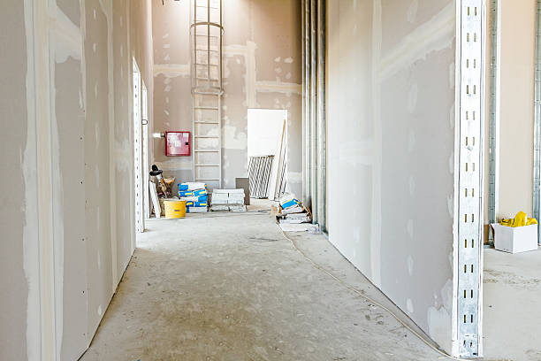 Mold Documentation for Insurance Claims in Eureka Springs, AR
